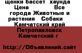 щенки бассет- хаунда › Цена ­ 20 000 - Все города Животные и растения » Собаки   . Камчатский край,Петропавловск-Камчатский г.